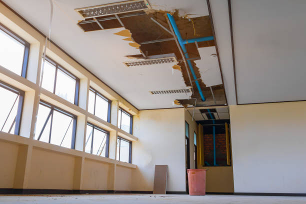 Best Water damage restoration near me  in Reisterstown, MD