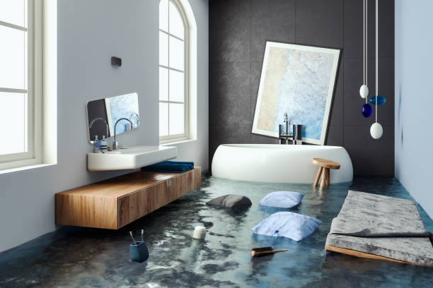 Best Sewage cleanup and water damage restoration  in Reisterstown, MD