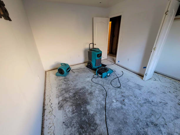 Professional Water damage restoration in Reisterstown, MD