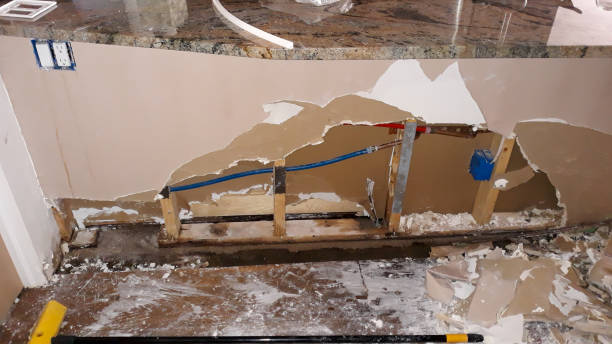 Best Professional water damage repair  in Reisterstown, MD