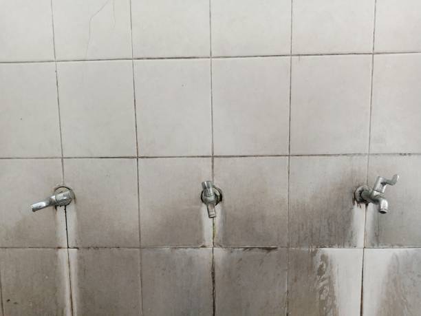 Best 24/7 water damage repair  in Reisterstown, MD