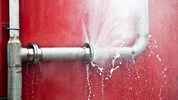 Best Flood restoration services  in Reisterstown, MD